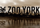 ZOO YORK PODCAST