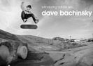 Dave Bachinsky u ADIDAS