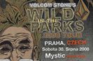 VOLCOM Wild in the Park